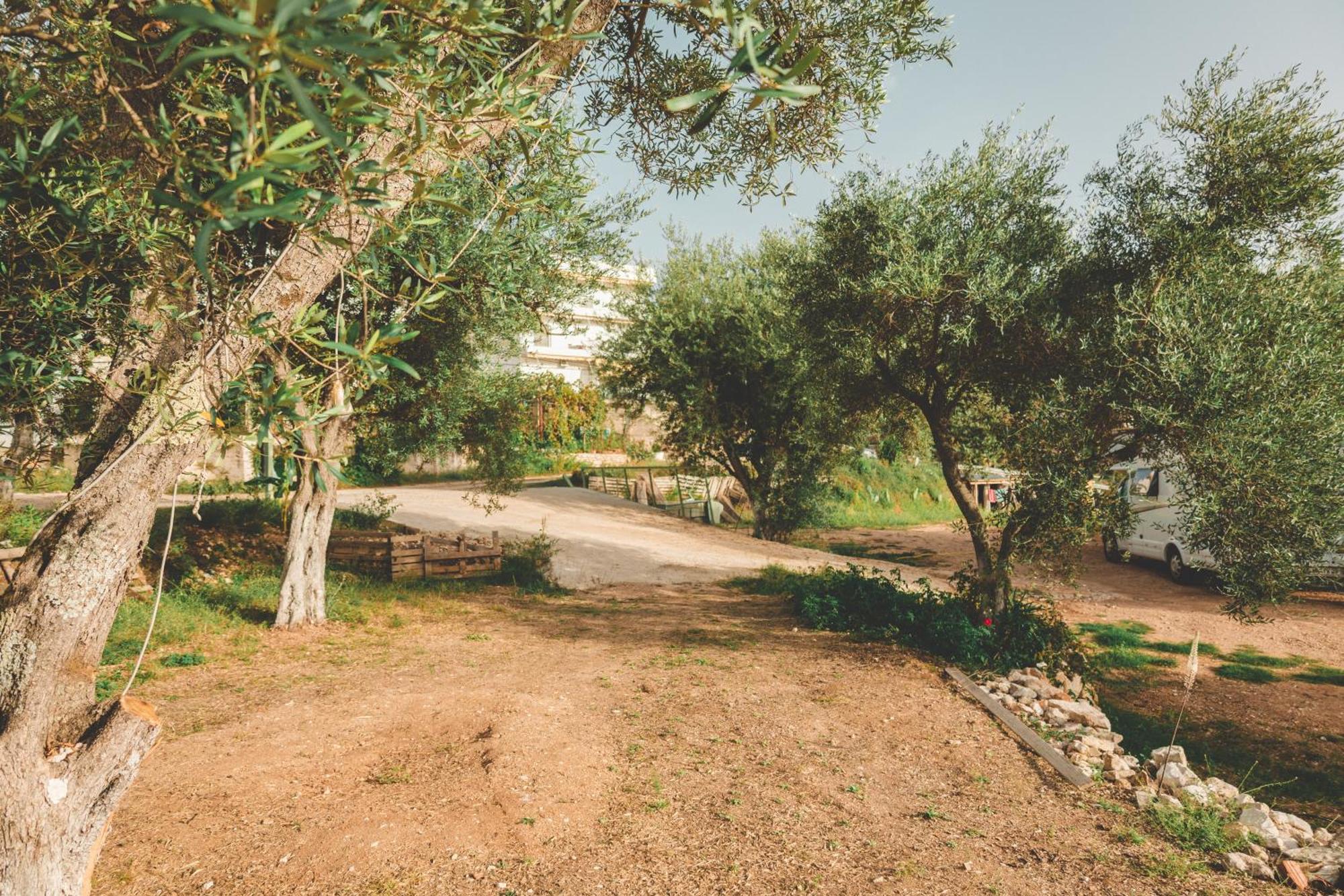 Olive Camping Himare Esterno foto